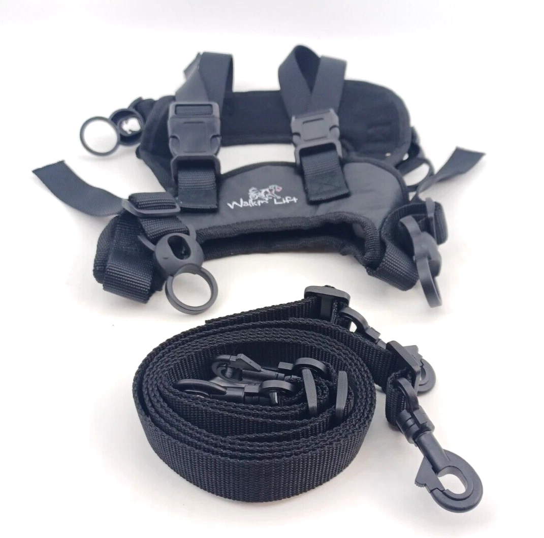 Walkin lift top rear harness