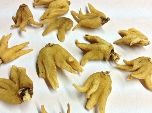 Pure Herbs Salab Panja Panchaule Dactylorhiza - Picture 53 of 60