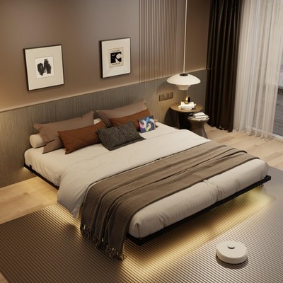 Floating Bed Frame Queen Size with Charging Station and LED Lights, Metal Pla...