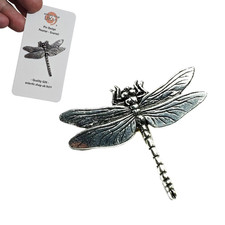 Dragonfly Pewter Pin Badge Nature Insect Transformation Tie Lapel Hat Jewellery