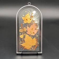 Canada Henni Original Pressed Leaves Seeds Glass Window Hanging Original Label