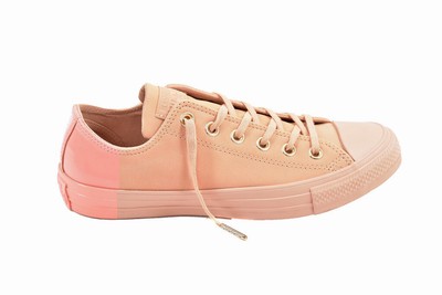Converse Unisex CTAS OX 159530C Sneakers Pale Colar Beige US Womens 6, Mens 4 | eBay ميكرويف جيباس Converse Unisex CTAS OX 159530C Sneakers Pale Colar Beige US Womens 6, Mens 4 | eBay ميكرويف جيباس