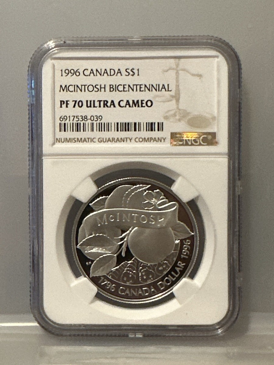 90s Ever Clear オルタナ グランジ T XL USA製 シングル 90s Ever Clear オルタナ グランジ T XL USA製 シングル