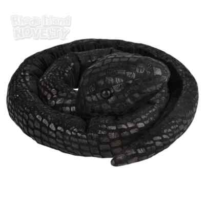 RI 67'' Black Eastern Indigo Snake