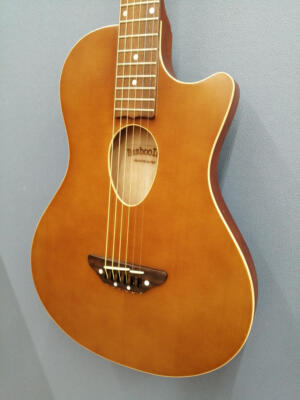 ESP BAMBOOINN-C Acoustic Guitar | eBay