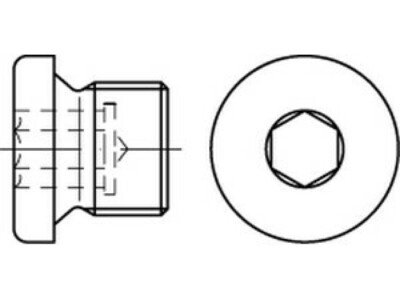 50 x Verschlussschrauben mit Bund u.Innensechskant DIN 908 A 4 M 30 x 2 A 4, CAB