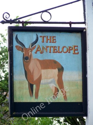 Foto 6x4 Schild für das Antelope Inn Hazelbury Bryan dies ziemlich häufig Gr. 2010