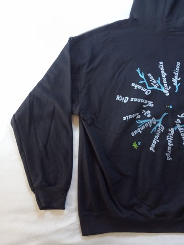 NWOT Silversun Pickups Widow's Weeds Pullover Hoodie Sweatshirt Black Unisex 2XL - Picture 12 of 13