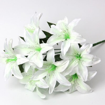 indoor small palm plants Parlor Palm