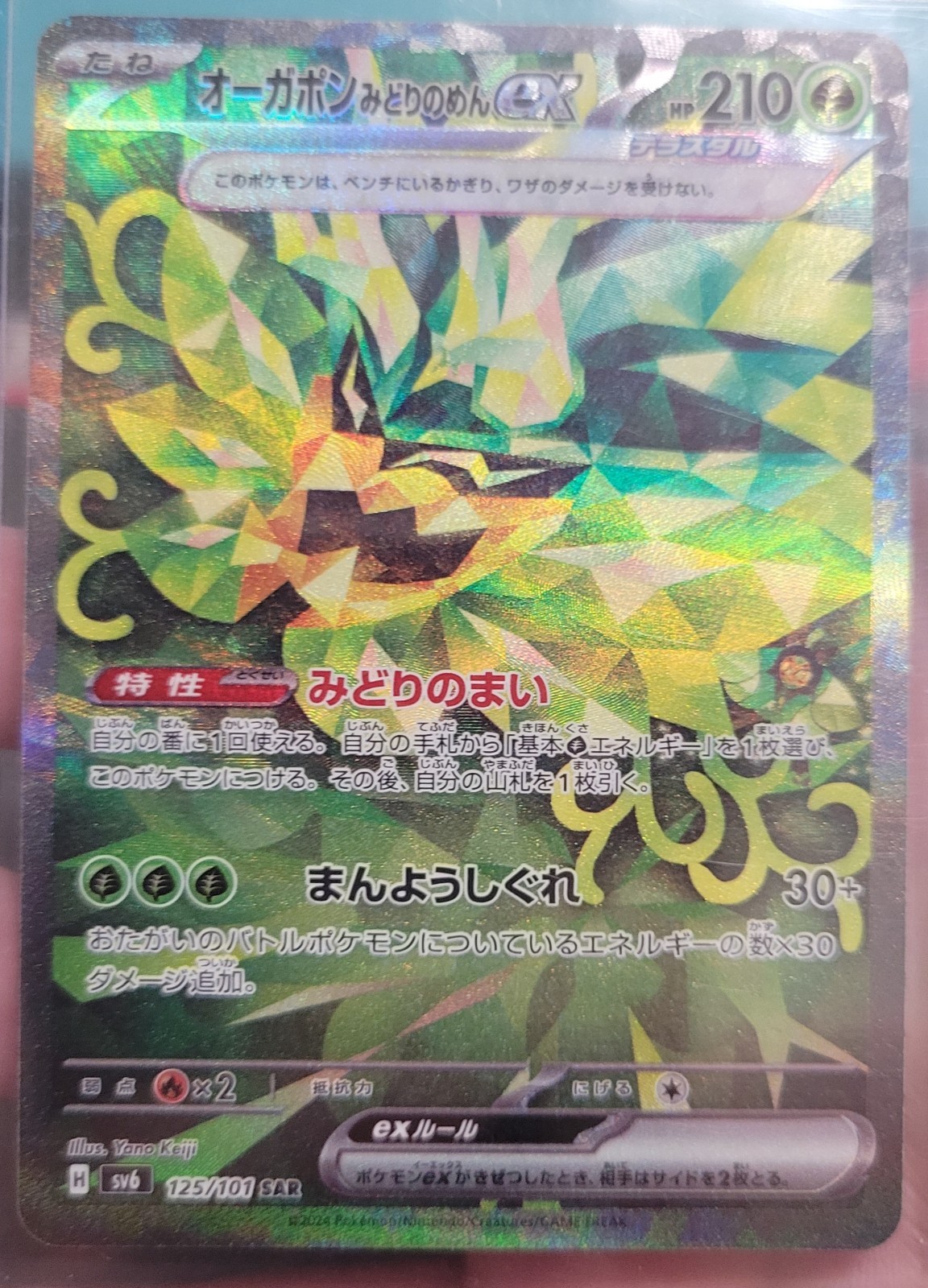 Pokemon Card Teal Mask Ogerpon EX SAR 125/101 SV6 2024 Japanese Edition