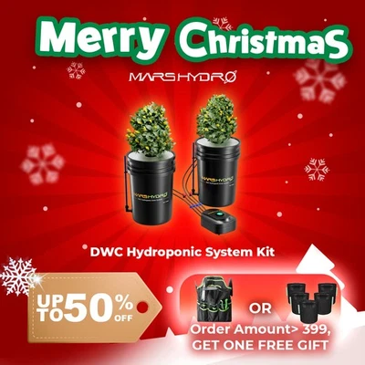 Kits de cultivo de sistema hidropónico Mars Hydro de 5 galones DWC con 2 cucharones bomba de aire de 8 W