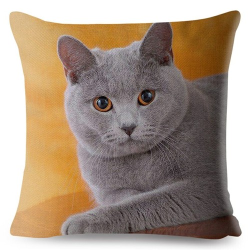 Cute British Shorthair Cat Print Square Cushion Covers Pillow Car Home Decor - Picture 19 of 38