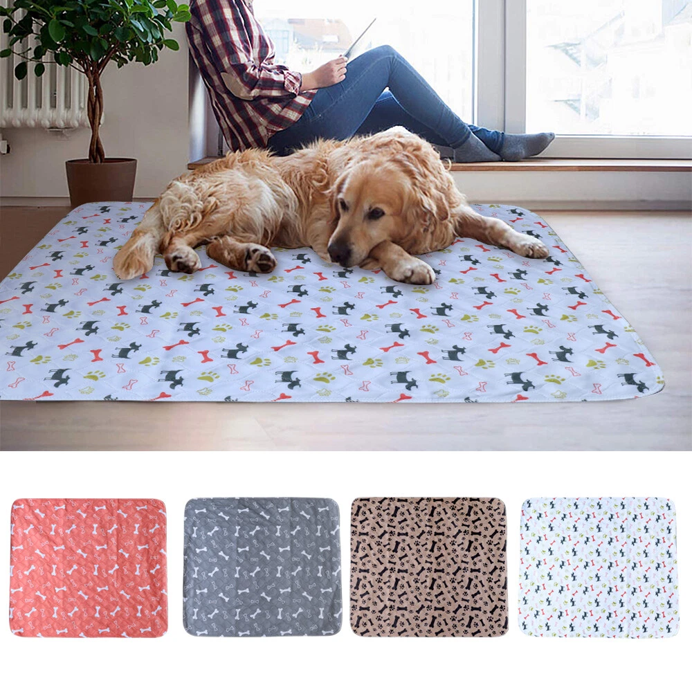 Water Absorbant Pet Mat Reusable Dog Pee Mats Large Puppy Training Pad  Small Bed