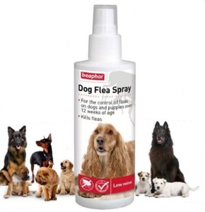 flea spray for puppies under 12 weeks