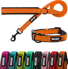 Durable Padded Dog Leash and Collar Set,Reflective Strip Extra Safe and Comfy fo