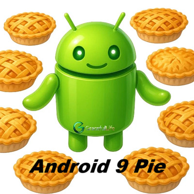 Android x86 9.0 r2  Pie  Software ~ 64Bit Linux Install Live Bootable OS for PC