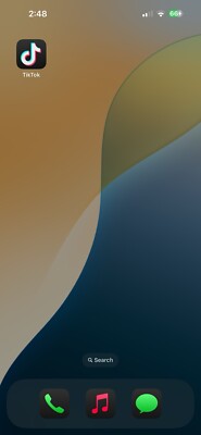 iPhone 14 Pro Max W/ TikTok 