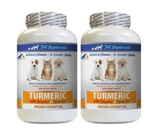 cat joint supplement - DOG CAT COCONUT TURMERIC - turmeric for cats 2B