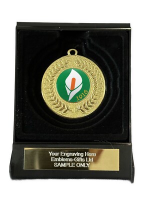 Easter Rising 1916 Irish 50mm Gold Contour Medal in Box (H) Engraved Free