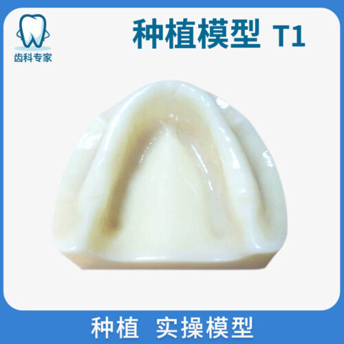 Tooth Model Oral Implant Exercise Mandible Upper Sinus Lift Demonstration Model - 第 1/9 張圖片