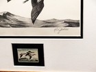 Picture 5 of 7