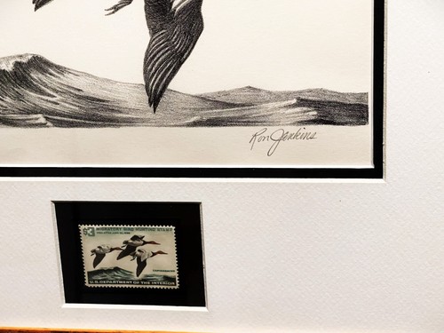 Ron Jenkins 1965 Federal Waterfowl Duck Stamp Print With Stamp - Brand New Frame - Bild 5 von 7