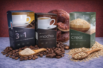 NEW GANOCAFE SCHOKOLADE HOT COCOA MOCHA CEREAL   GANO EXCEL 3 PACK