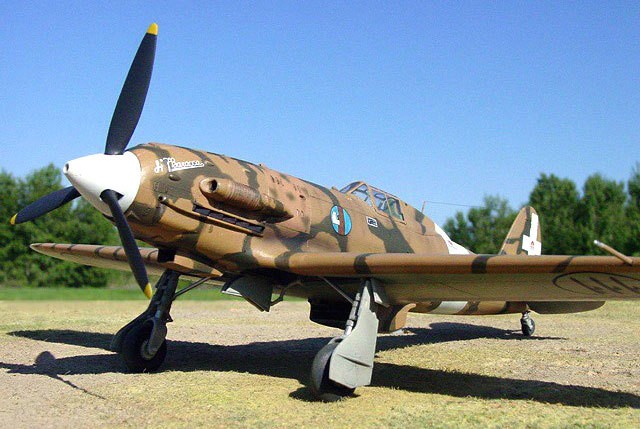 RC Model Scale WWII Macchi 202 61