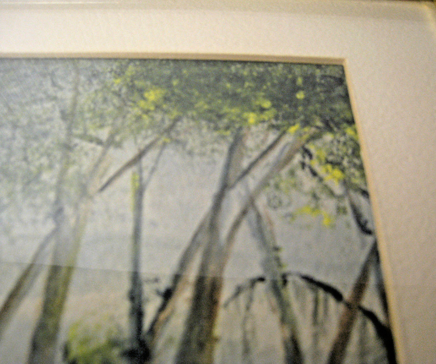 Picture 8 of 9