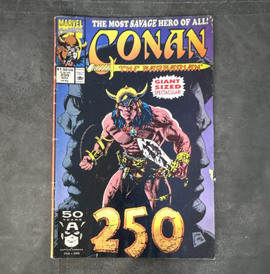 Marvel Comics Mixed Lot Single Issue Copper Age Conan, Punisher, Invaders