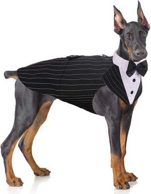 Dog Tuxedo Suit Wedding Party Formal Outfit with Bowtie Bandana for Large Dogs
