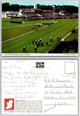 Vintage John Hinde Irish Horse Race Meeting Postcard 1974 Dublin Ireland