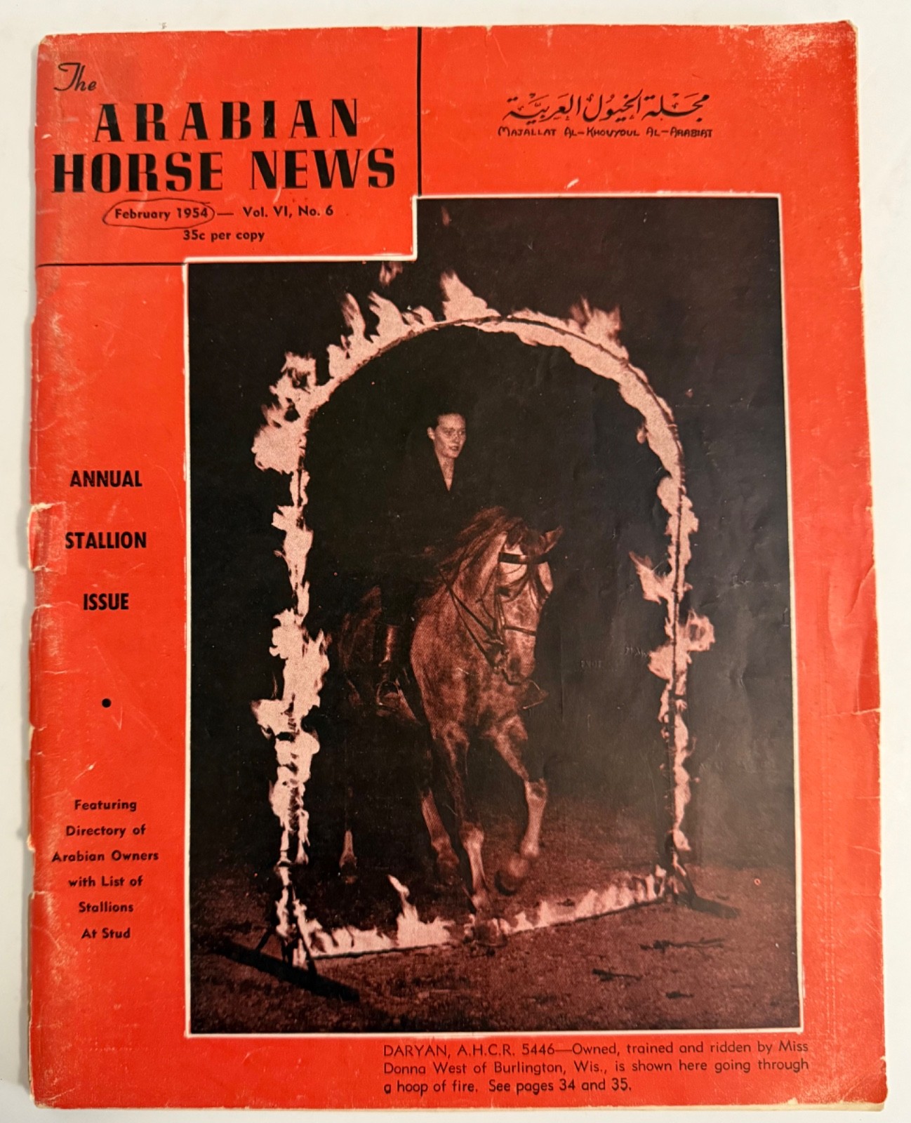 Vtg Arabian Horse News Magazine February 1954 Vol. VI No.6 Annual Stallion Issue