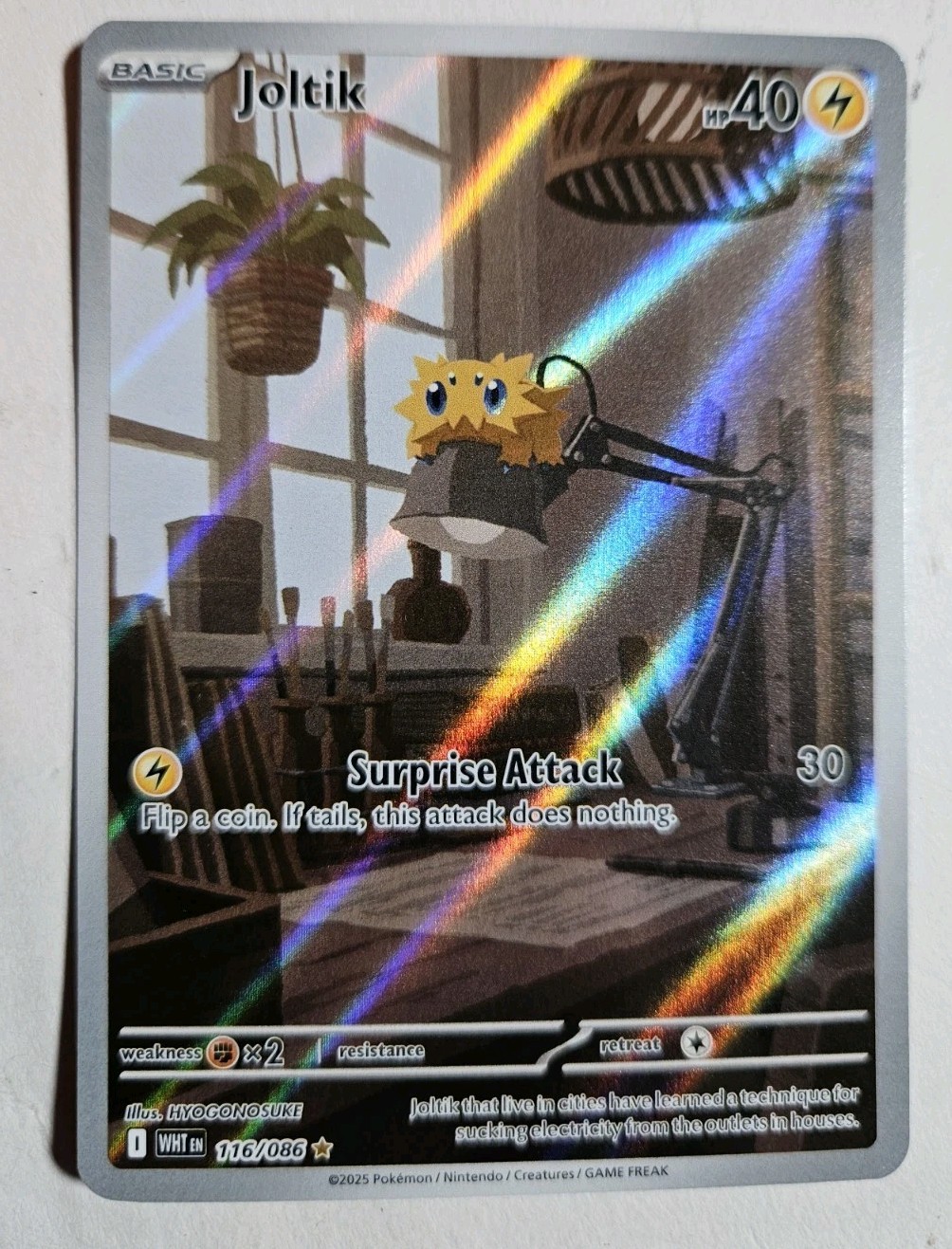 Joltik - 116/086 - Illustration Rare - S&V: White Flare - Pokemon TCG Nm