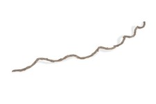 NaDeco Dragon Liane owinięty biały ok. 180 - 200cm smok rattan drewno biały