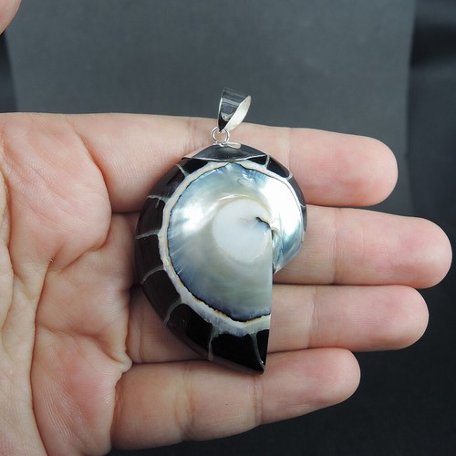 925 Sterling Silver Large Black Nautilus Shell Pendant Handmade Jewelry, NSP-531 - Picture 6 of 7