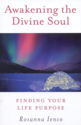 Awakening the Divine Soul: Finding Your Life Purpose - Paperback NEW Rosanna Ien