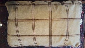 orvis tough chew bed