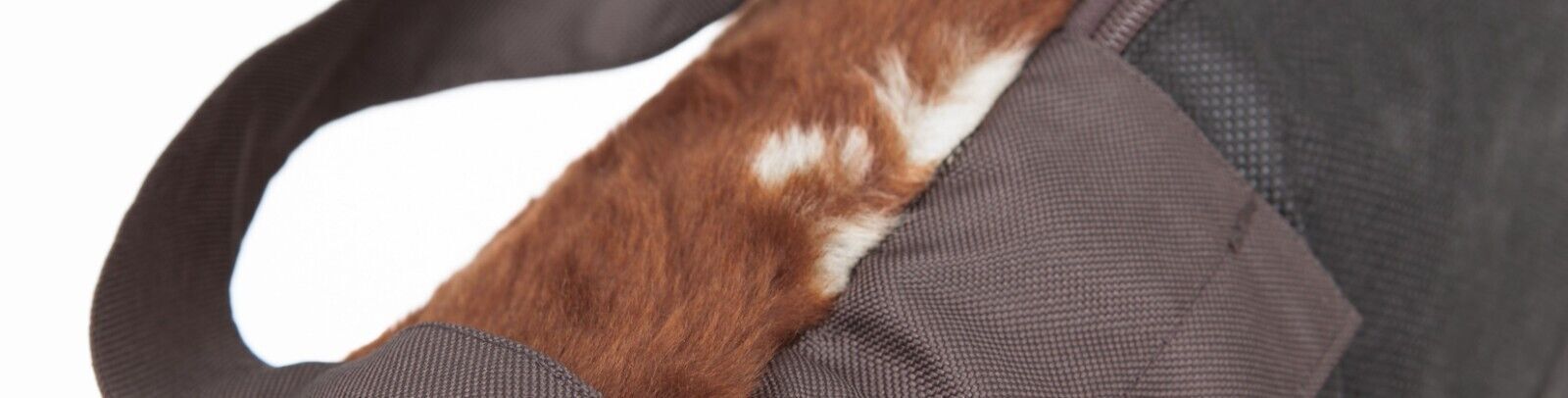 Cuccia per cani Divano per cani Cuccia per cani Cuccia per cani Cuccia... - Zdjęcie 4 z 15