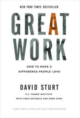 Great Work: How to Make a Difference People Love (Business Books) - GOOD