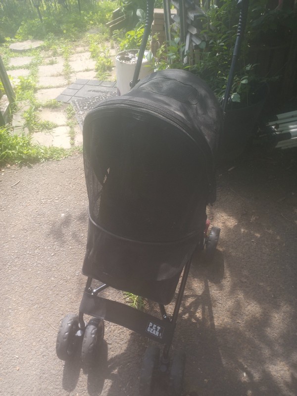 Petgear small dog collapsable stroller gently used