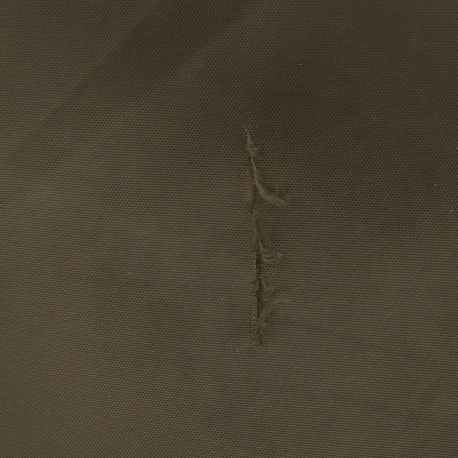 Picture 6 of 6