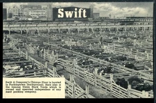 Older Chicago Illinois Swift & Co. Stock Yards Historic Vintage Postcard D256