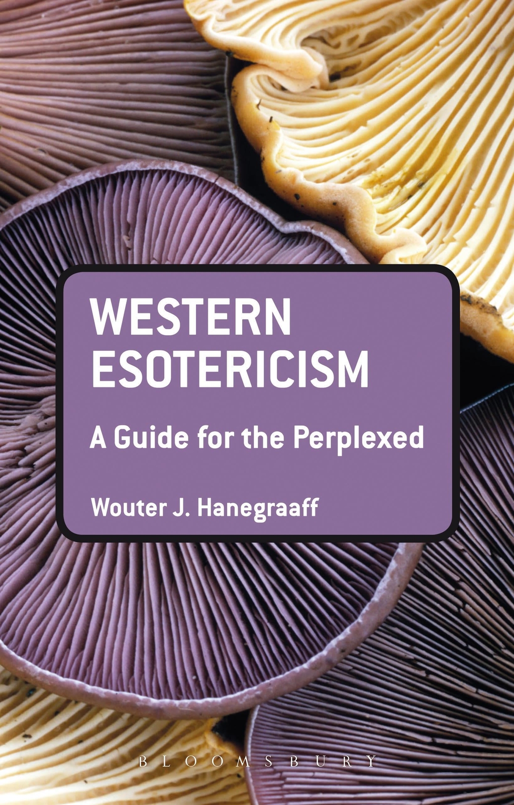 Western Esotericism: A Guide For The Perplexed | Wouter J. Hanegraaff
