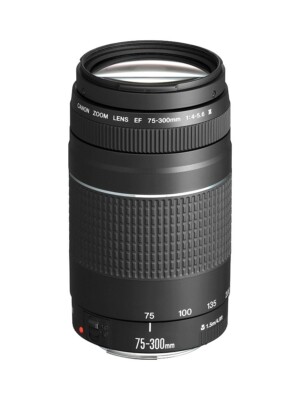 Canon EF 75-300mm f/4-5.6 III Telephoto Zoom Lens