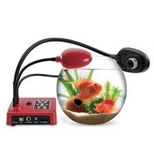 Lumens Digital Optics DC265 Ladibug Document Camera