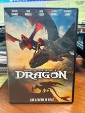 How to Train Your Dragon UNSEALED 