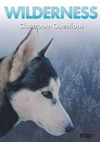 Amy Farrell | Wilderness Classroom Questions | Taschenbuch | Englisch (2016)