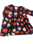 Hanna Andersson Baby Girl Apples Dress Long Sleeve — photo 1