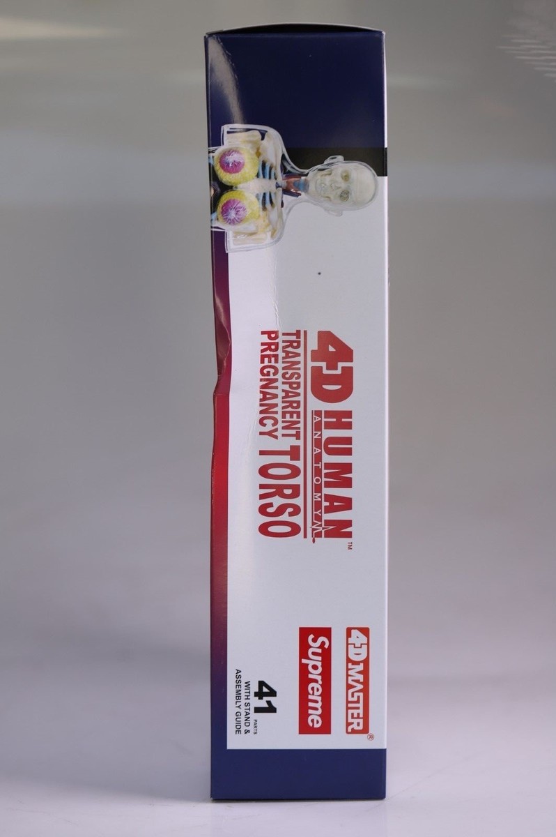 Supreme Female Anatomy Model FW18 New, Sealed | eBay